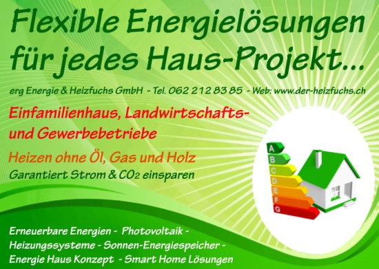 E-Energy-Lösung-Text